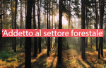 forest.logo